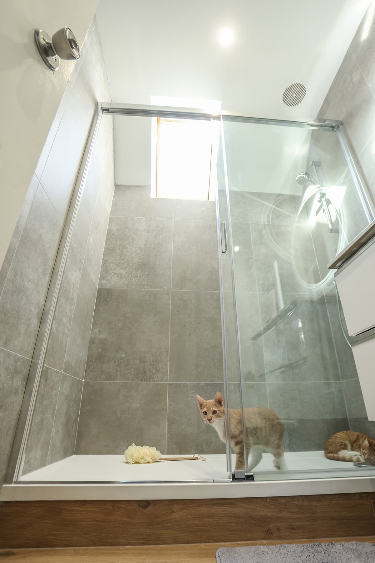 Réalisation d'une salle de bain signature DUCCI Walk-on